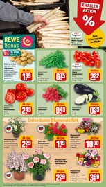 Ähnliche Stiefmütterchen Angebote im Prospekt "Dein Markt" von REWE in Essen Ähnliche Angebote wie Stiefmütterchen im Prospekt "Dein Markt" auf Seite 7 von REWE in Essen