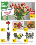 Le Pain Des Fleurs Le Pain Des Fleurs