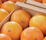 Pomelo à Chair Rouge Star Ruby - Netto Pomelo à Chair Rouge Star Ruby à 1,29 € dans le catalogue Netto