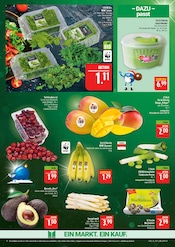 Pflanzen im Marktkauf Prospekt in Schweinfurt Aktueller Marktkauf Prospekt mit Pflanzen, "AUSWAHL RIESIG, PREISE NIEDRIG", Seite 8