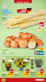 Aktueller Penny Prospekt mit Spargel, "Wer günstig will, muss Penny.", Seite 3