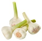 Knoblauch im REWE Prospekt Knoblauch von Naturland im aktuellen REWE Prospekt fĂŒr 1,29 âŹ