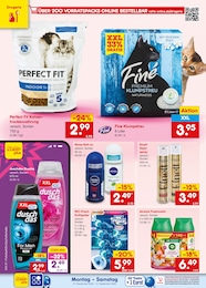 Netto Marken-Discount Dusche im Prospekt 