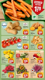 Pflanzen Angebot & Preis im aktuellen REWE Prospekt Pflanzen Angebot im aktuellen REWE Prospekt auf Seite 5
