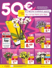 Ähnliche Kakteen Angebote im Prospekt "Aktuelle Angebote" von Netto Marken-Discount in Neuss Ähnliche Angebote wie Kakteen im Prospekt "Aktuelle Angebote" auf Seite 6 von Netto Marken-Discount in Neuss