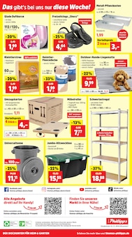 Schuhe im aktuellen Thomas Philipps Prospekt (Rostock) Schuhe im Thomas Philipps Prospekt "Top Angebote" mit 15 Seiten (Rostock)