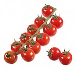 Aktuelle Tomaten Angebote bei EDEKA in Osnabrück Aktuelles Spanien Cherrystrauchtomaten Angebot bei EDEKA in Osnabrück ab 2,99 €