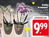 Orchidee Arrangement von  im aktuellen EDEKA Prospekt für 9,99 €