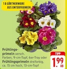 E center Zwingenberg Prospekt mit  im Angebot für 1,99 €