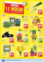 Pflanzen Angebot im aktuellen EDEKA Prospekt auf Seite 4