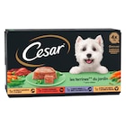 Les terrines pour chien - CESAR dans le catalogue Carrefour Market