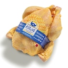 Das Gute Landhuhn Angebote von Kikok bei REWE Hürth für 1,11 €