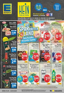 EDEKA Prospekt "Aktuelle Angebote" mit  Seiten (Köln)