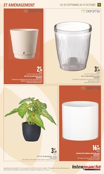 Promo Orchidée dans le catalogue Intermarché du moment à la page 11