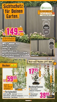 Pflanzen im Hornbach Prospekt "Du willst es. Dann bau es." mit 36 Seiten (Moers)
