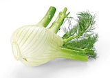 Fenchel im Angebot bei REWE in Ulm Fenchel Angebote bei REWE Ulm für 1,99 €