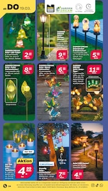 Party-Deko Angebote im Prospekt "Günstig. Besser. Für Dich." von Netto mit dem Scottie auf Seite 30