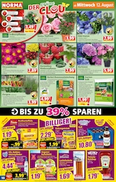Norma Blumen im Prospekt Norma Blumen im Prospekt