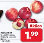 Nektarinen bei Markant Nordwest im Prospekt "" für 1,99 €