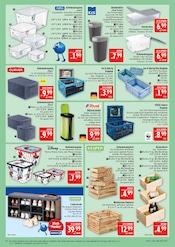 Aktueller Marktkauf Prospekt mit Regal, "AUSWAHL RIESIG, PREISE NIEDRIG", Seite 38