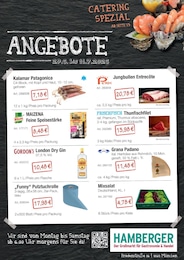 Hamberger Fernseher im Prospekt 