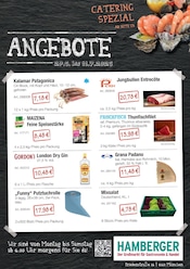 Aktueller Hamberger Prospekt mit Flachbildfernseher, "NON FOOD Catering", Seite 3
