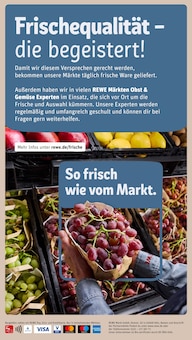 Becks Angebot im aktuellen REWE Prospekt auf Seite 16