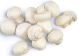 Weiße Champignons im Angebot bei famila Nordwest in Oldenburg Weiße Champignons Angebote bei famila Nordwest Oldenburg für 1,79 €
