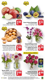 Aktueller EDEKA Prospekt mit Pflanzen, "Aktuelle Angebote", Seite 11