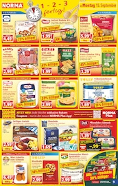 Aktueller Norma Prospekt mit Schweinebraten, "Mehr fürs Geld", Seite 9