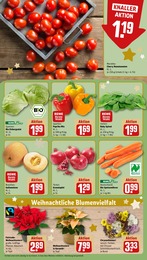 Chrysanthemen Angebot & Preis im aktuellen REWE Prospekt Chrysanthemen Angebot im aktuellen REWE Prospekt auf Seite 7