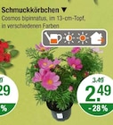 Schmuckkörbchen für 2,49 € bei V-Markt im Angebot Schmuckkörbchen im aktuellen V-Markt Prospekt