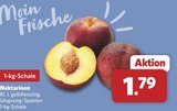 combi - Nektarinen Angebot im Prospekt Nektarinen bei combi im Prospekt "" für 1,79 €