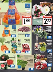 Aktueller EDEKA Prospekt mit Blumen, "Aktuelle Angebote", Seite 3