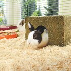 Heu-Haus im Angebot bei Fressnapf in Osnabrück Heu-Haus Angebote von MultiFit bei Fressnapf Osnabrück für 2,39 €