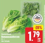 Romanasalatherzen für 1,79 € bei EDEKA im Angebot Romanasalatherzen im aktuellen EDEKA Prospekt