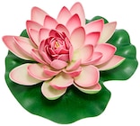 Schwimmende Deko-Seerose  im aktuellen Rossmann Prospekt für 2,99 €