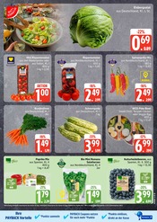 Aktueller E center Prospekt mit Tomaten, "Top Angebote", Seite 11