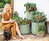 Aktuelle Blumentopf Angebote bei Dehner Garten-Center in Karlsruhe Aktuelles Pick-A-Pep Snackpaprika Angebot bei Dehner Garten-Center in Karlsruhe ab 12,99 €