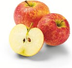 Netto Marken-Discount Rosenow - Bio Äpfel Angebot im Prospekt Bio Äpfel bei Netto Marken-Discount im Rosenow Prospekt für 1,99 €