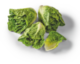 Bio-Salatherzen von tegut im aktuellen tegut Prospekt für 1,99 €