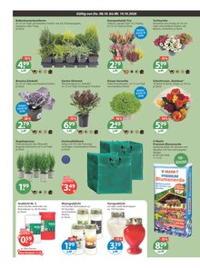 Blumenerde im aktuellen V-Markt Prospekt (Regensburg) Blumenerde im V-Markt Prospekt "V-Markt einfach besser einkaufen" mit 21 Seiten (Regensburg)