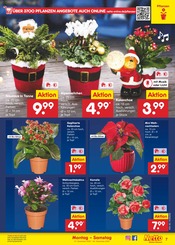 Aktueller Netto Marken-Discount Prospekt mit Weihnachten, "Aktuelle Angebote", Seite 7