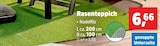 Rasenteppich für 6,66 € bei Thomas Philipps im Angebot Rasenteppich im aktuellen Thomas Philipps Prospekt