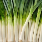 Poireau dans le catalogue Carrefour