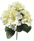 LE BOUQUET D’HORTENSIAS en promo chez Centrakor Avignon à 12,99 €