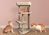 Arbre à chat en promo chez B&M Arbre à chat dans le catalogue B&M