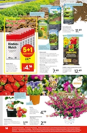Blumenerde im Hellweg Prospekt in Rheda-Wiedenbrück Aktueller Hellweg Prospekt mit Blumenerde, "Die Profi-Baumärkte", Seite 14