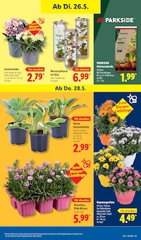 Kissen im aktuellen Lidl Prospekt (Mönchengladbach) Kissen im Lidl Prospekt "LIDL LOHNT SICH" mit 70 Seiten (Mönchengladbach)