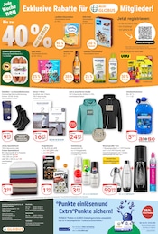 Pullover im GLOBUS Prospekt in Zwickau Aktueller GLOBUS Prospekt mit Pullover, "Aktuelle Angebote", Seite 29
